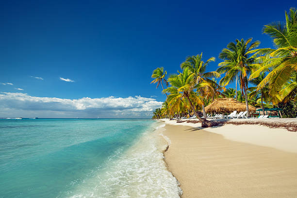 definitely not a pirate infested tropical beach.jpg